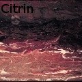 IoneCitrin